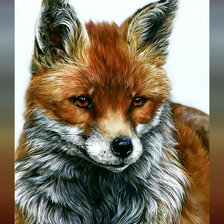 Схема вышивки «лисенок»