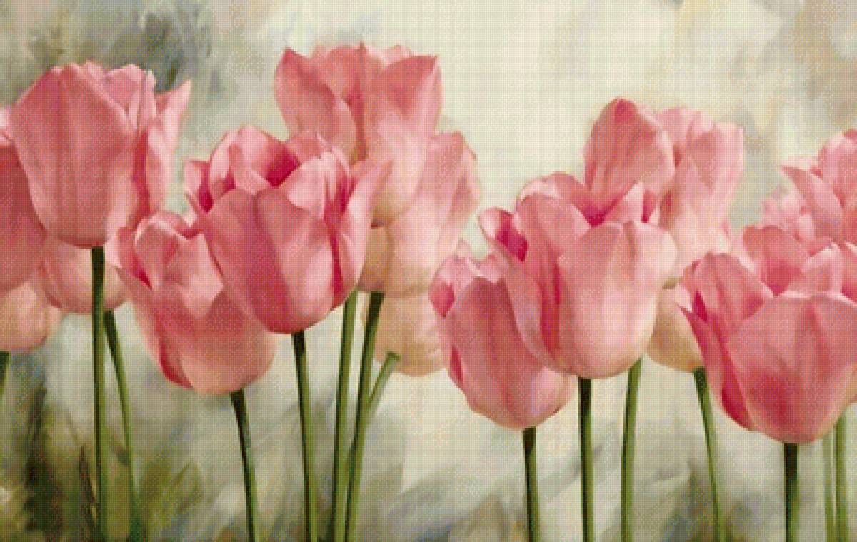 Мои тюльпаны - предпросмотр