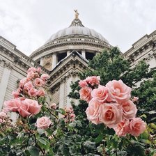 Схема вышивки «№2147139»