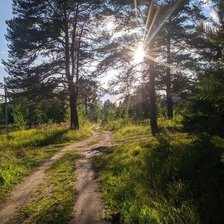 Схема вышивки «Солнечные лучики»