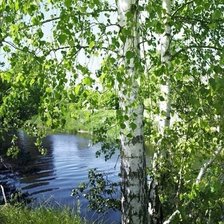 Схема вышивки «№2147461»