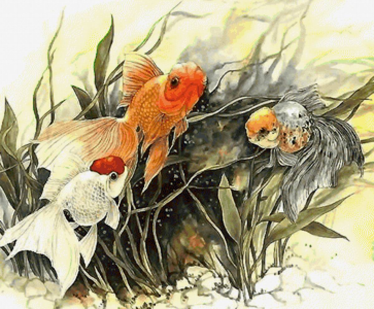 рыбки - предпросмотр