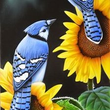 Схема вышивки «Птицы»