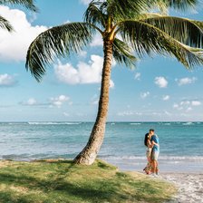 Схема вышивки «hawaii5»