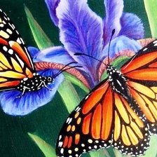 Схема вышивки «Бабочки»