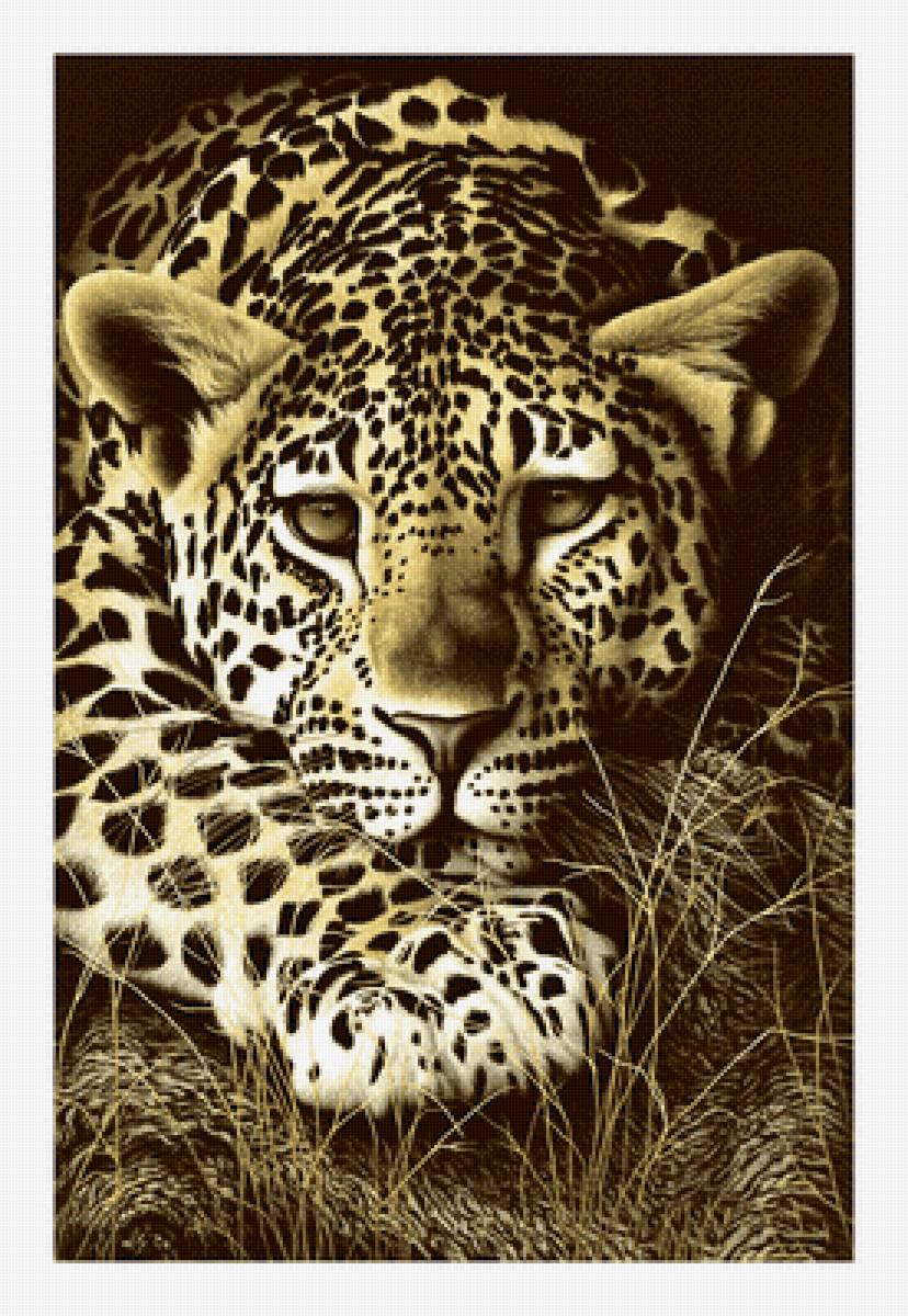 Серия "Хищники". Ягуар - ягуар, животные, хищники - предпросмотр