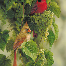 Схема вышивки «Веселые птички»