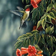 Схема вышивки «Колибри»