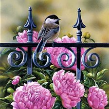 Схема вышивки «№2148226»