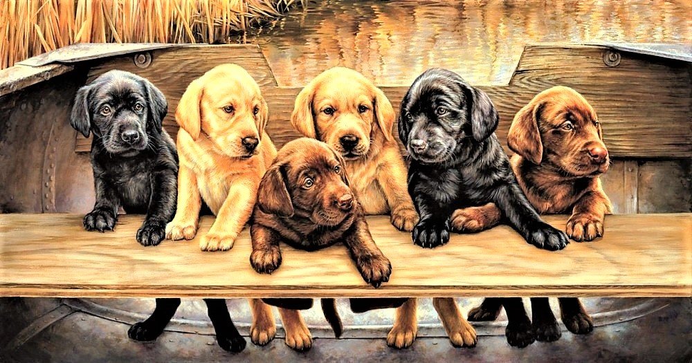 №2148243 - оригинал