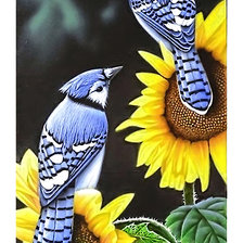 Схема вышивки «Серия "Птицы"»