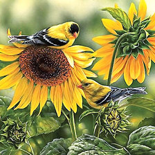 Схема вышивки «Серия "Птицы"»