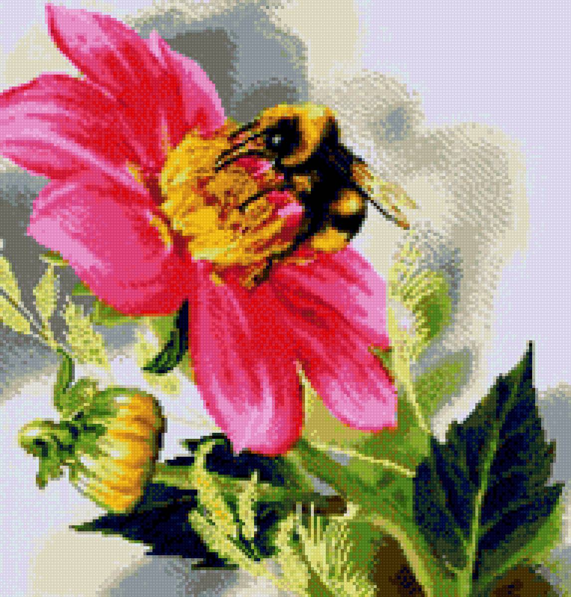 Шмель на цветке - цветок, шмель - предпросмотр