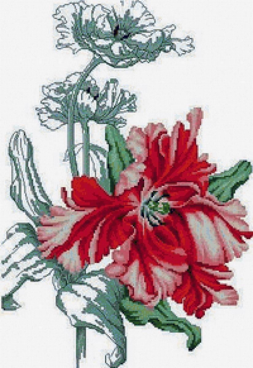 Цветы - цветы, букет - предпросмотр