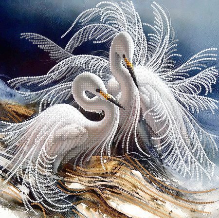 Цапли - цапли, птицы - оригинал