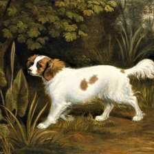 Схема вышивки «№2148809»