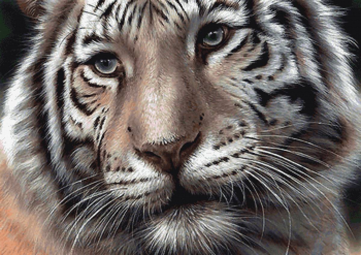 №2148813 - предпросмотр