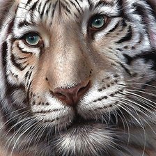 Схема вышивки «№2148813»