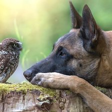 Схема вышивки «необычные друзья»