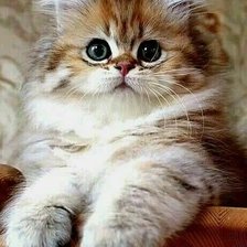 Схема вышивки «№2148928»