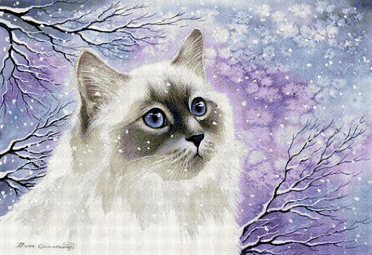 кот красавчик - предпросмотр