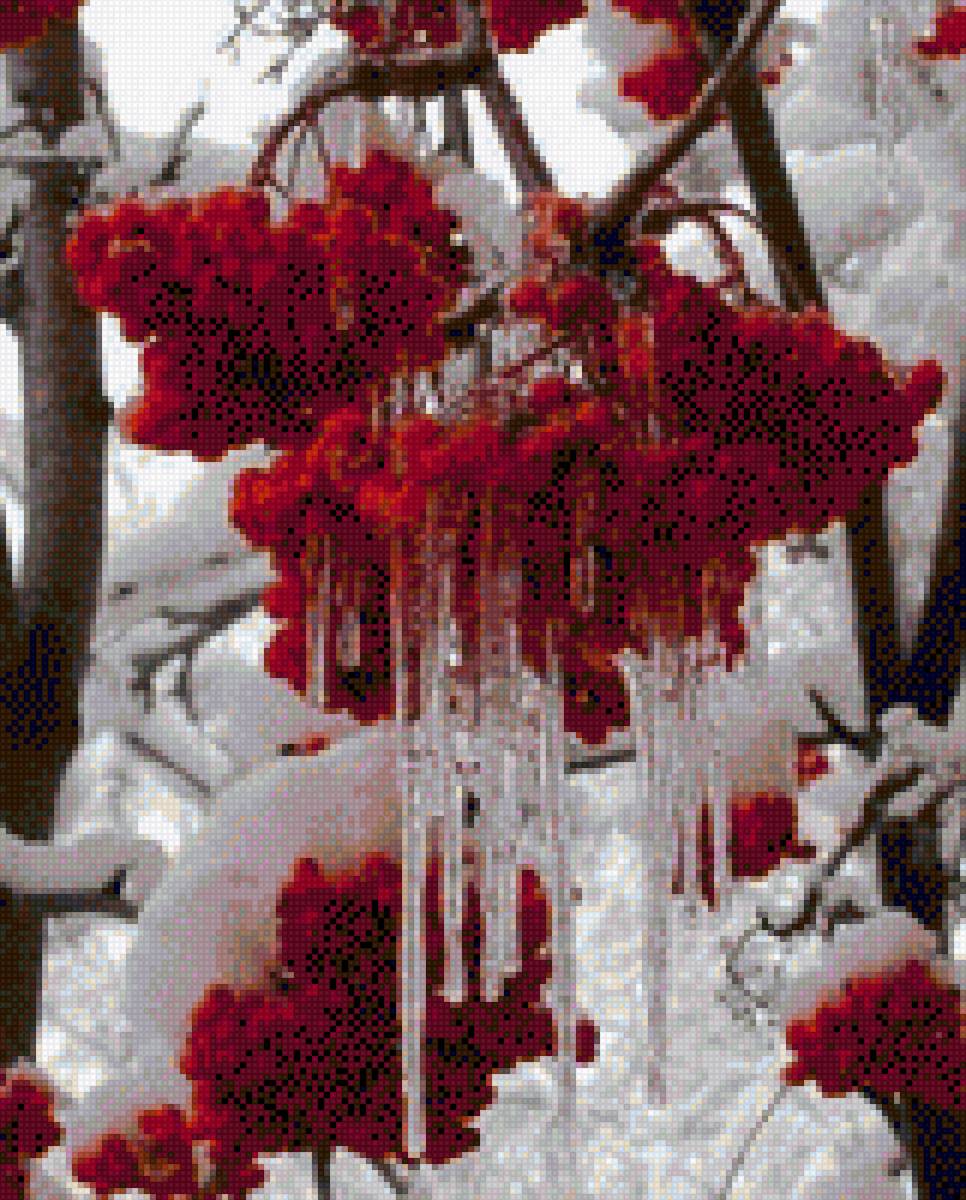 Моя рябина - ягоды, снег, зима - предпросмотр