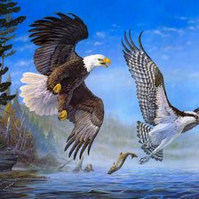 Схема вышивки «две птицы»