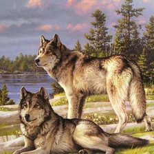 Схема вышивки «дикие»