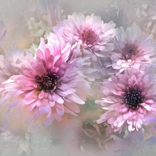 Схема вышивки «георгины»