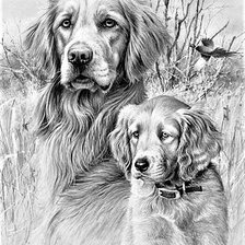 Схема вышивки «№2149827»