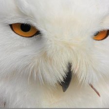 задумалась...