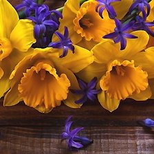 Схема вышивки «№2149984»