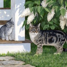 Схема вышивки «№2150086»