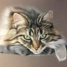 Схема вышивки «кот»