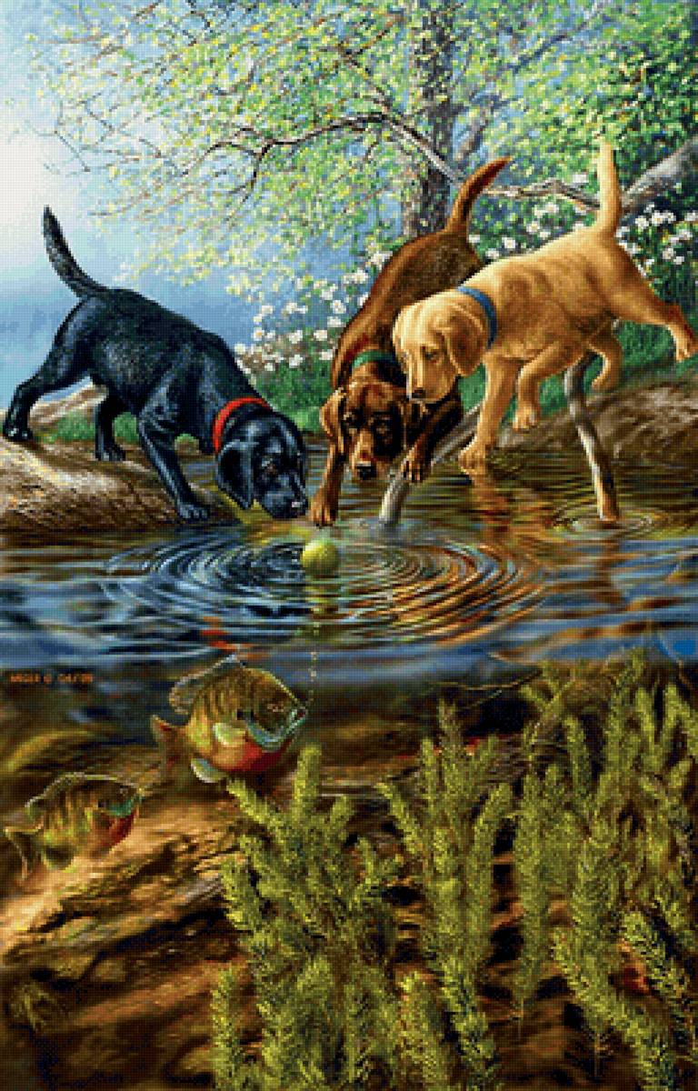 №2150283 - рыба, щенок, рыбалка - предпросмотр