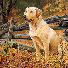 Схема вышивки «№2150284»