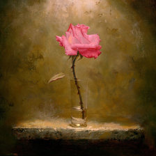 Схема вышивки «роза»