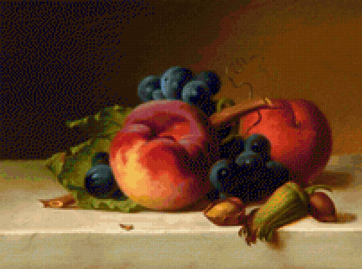 still life - still life - предпросмотр