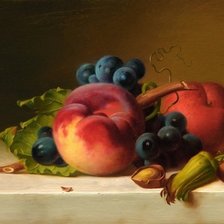 Схема вышивки «still life»