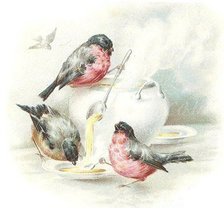 Схема вышивки «pajaros comiendo sopa 2»