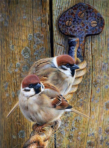 pareja de pajaros - animales - оригинал