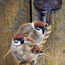 Схема вышивки «pareja de pajaros»