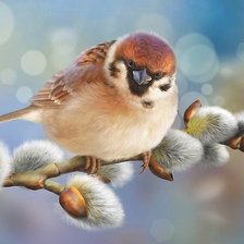 Схема вышивки «pajaro en la rama»