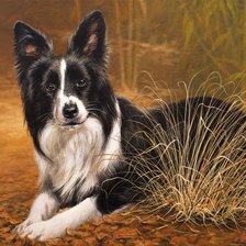 Схема вышивки «№2150795»