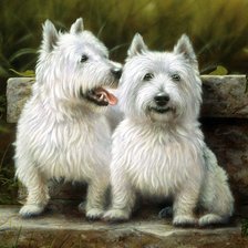 Схема вышивки «№2150797»