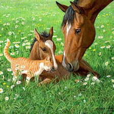 Схема вышивки «№2150800»