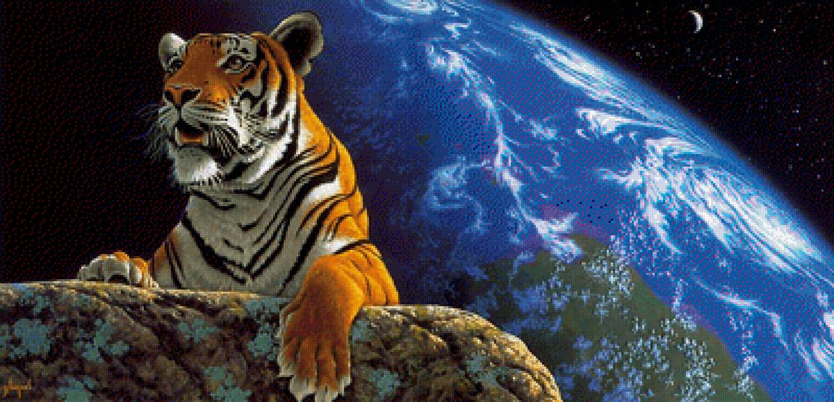 Тигр. - шимеель уильям, картина., тигр - предпросмотр