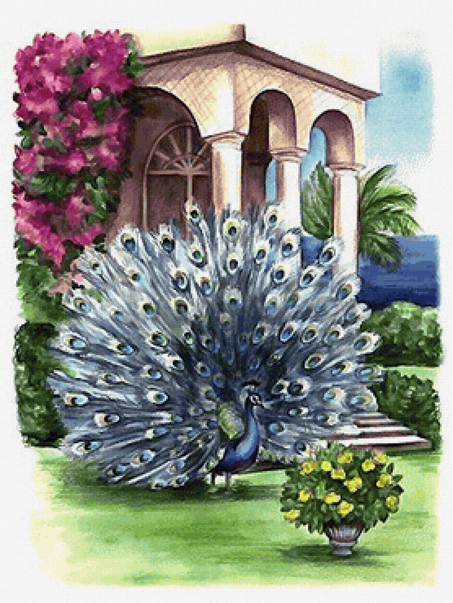 акварель - предпросмотр