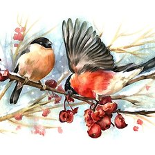 Схема вышивки «акварель»