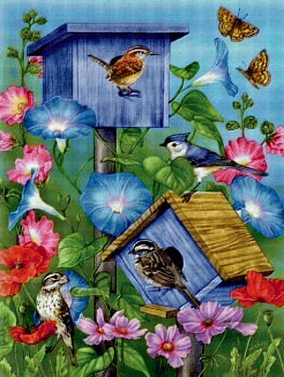 vtaci - предпросмотр